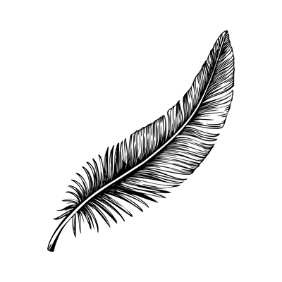 Bird feather sketch. Decorative spring drawing.Hand drawn vector illustration. Nature design element. NOT AI generated